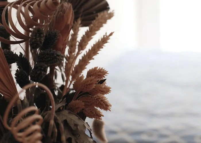 Anastasia & 3* Kos-stad