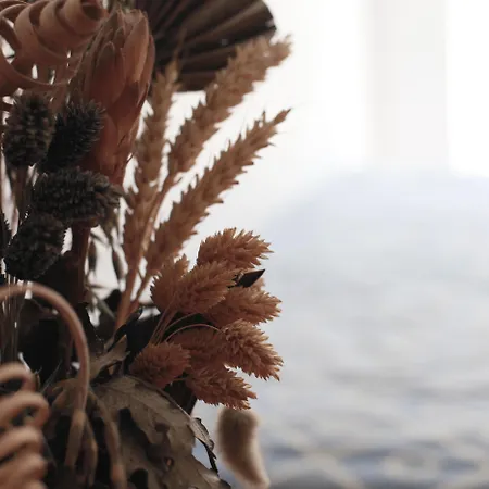 Anastasia & 3* Kos-Stadt